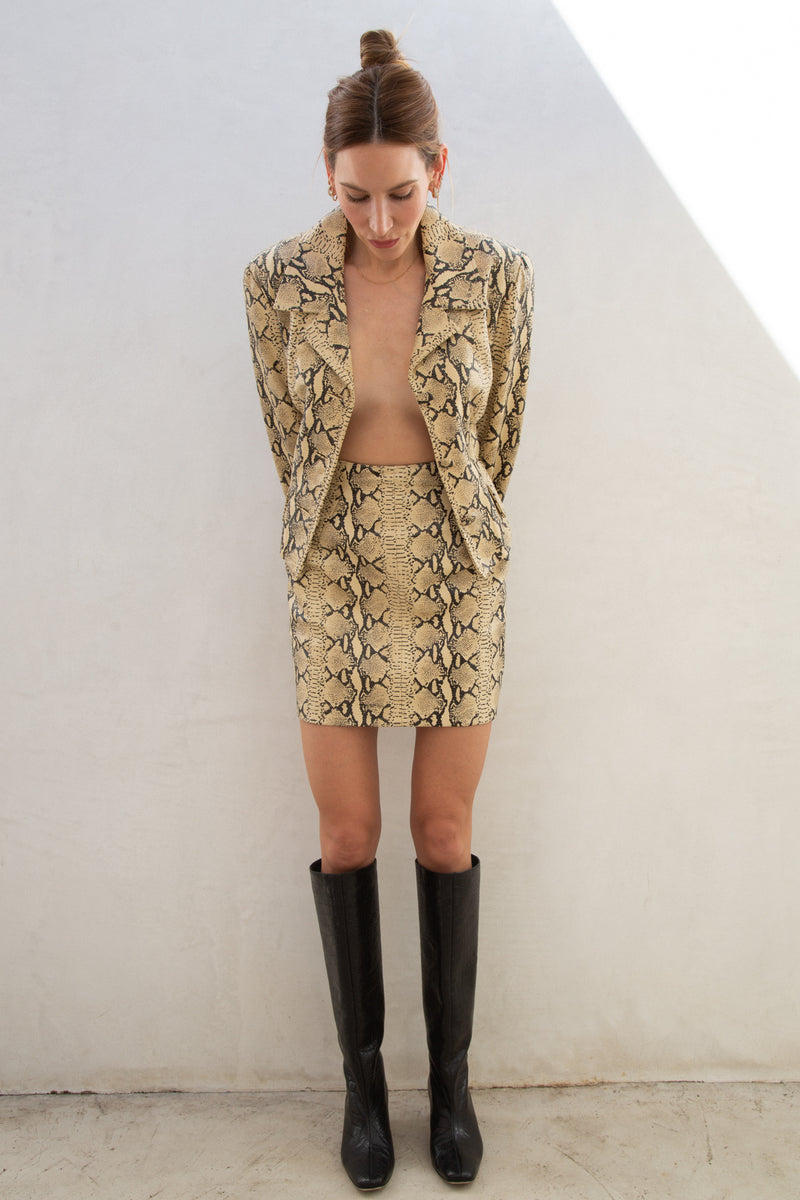 Vintage Leather Python Print Set